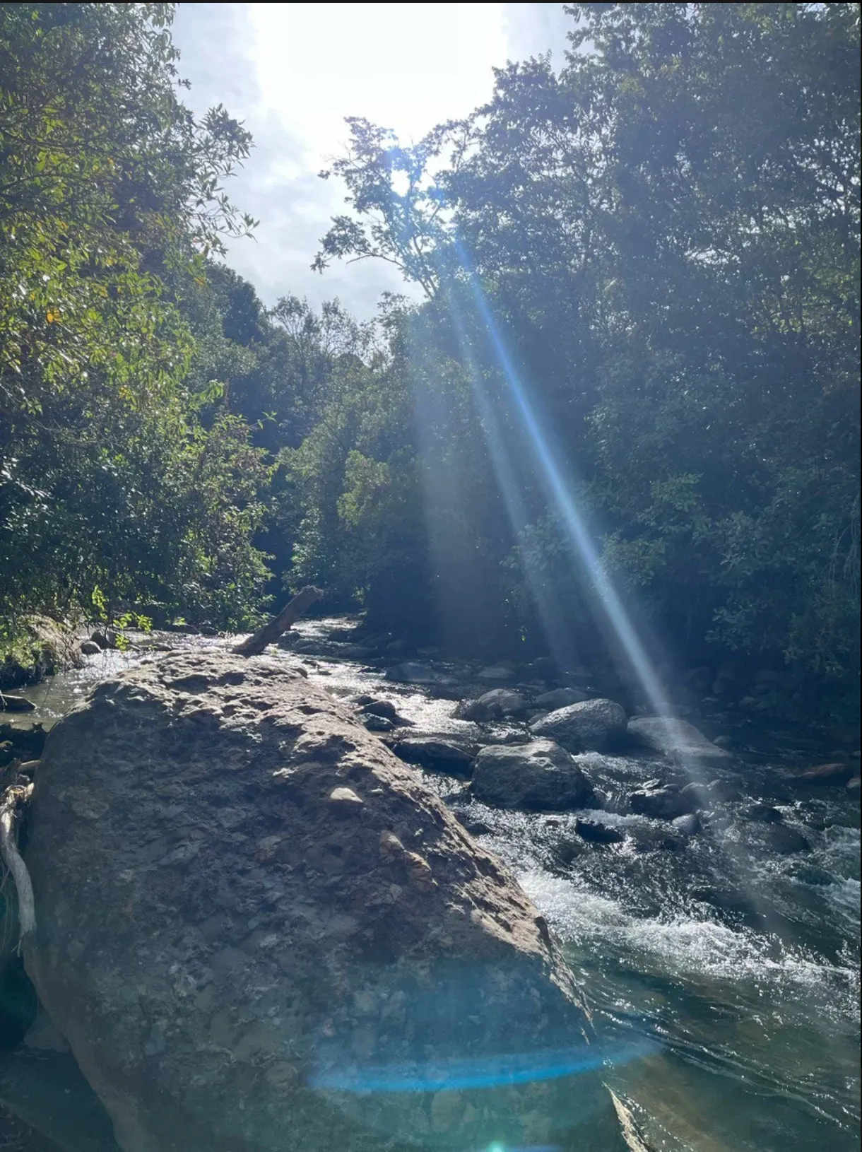 サフィーロ農園2